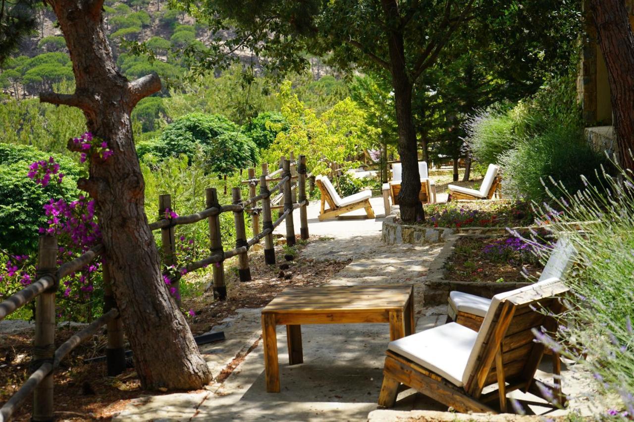 Blue Jay Valley เจซซีน ภายนอก รูปภาพ