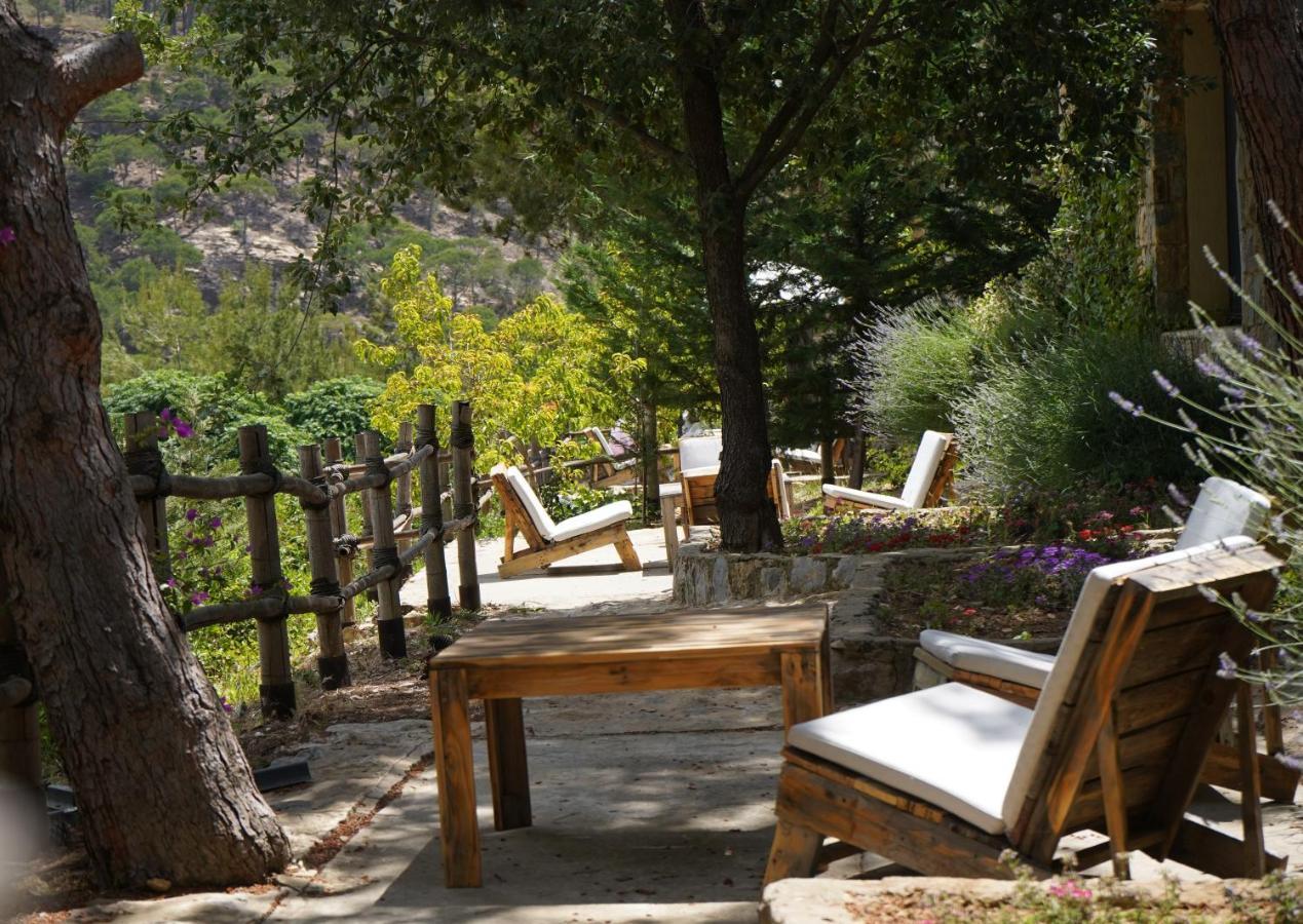 Blue Jay Valley เจซซีน ภายนอก รูปภาพ